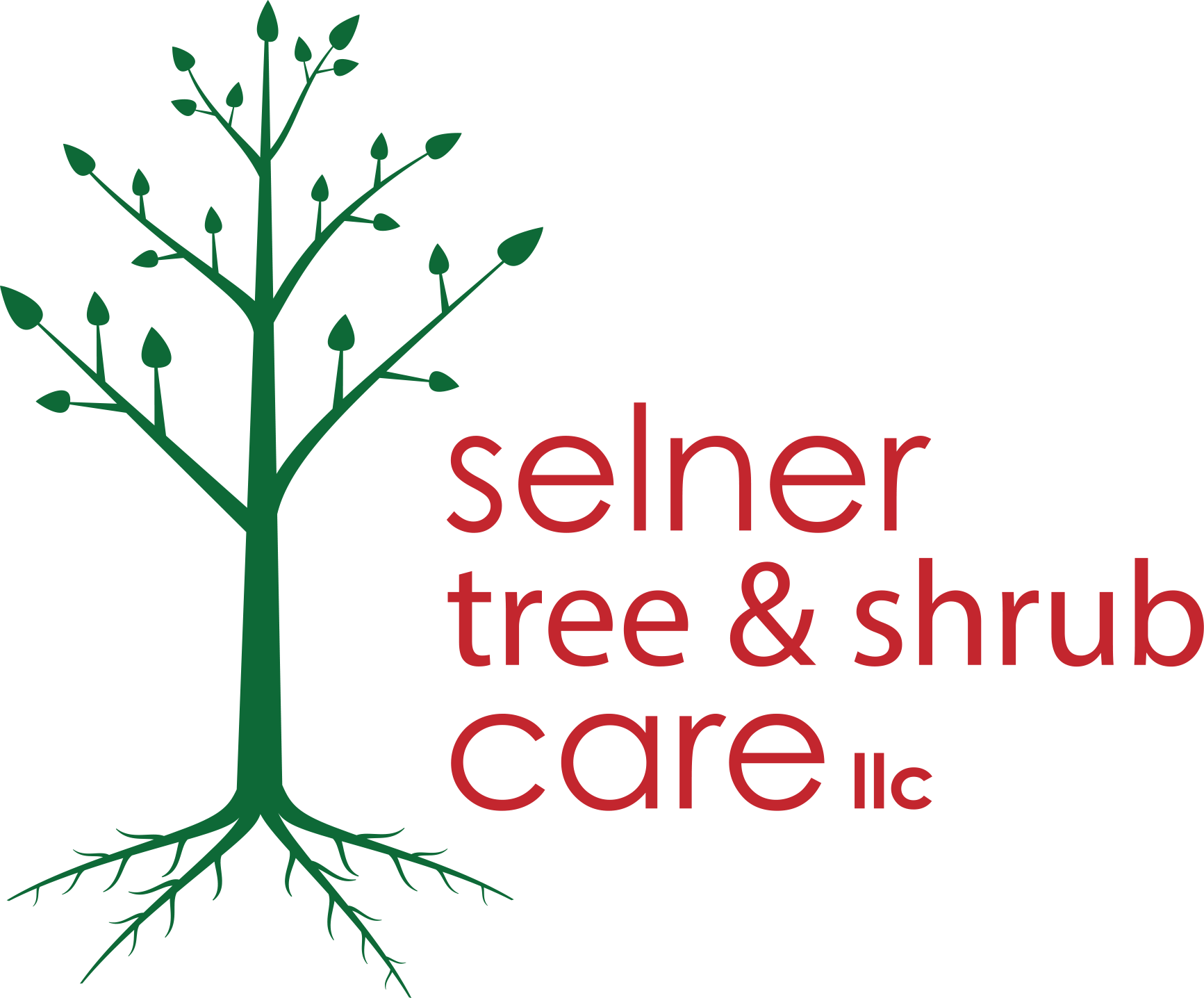 Selner Tree & Shrub Care1